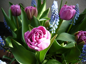 pot_spring 005.jpg